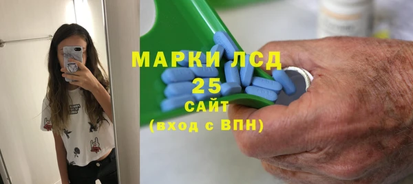 ПСИЛОЦИБИНОВЫЕ ГРИБЫ Алзамай