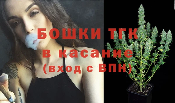 индика Пестово