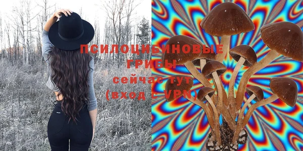 ПСИЛОЦИБИНОВЫЕ ГРИБЫ Алзамай